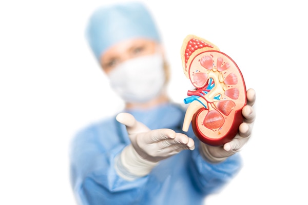 CinfaSalud-imagen-insuficiencia-renal-600 (2)