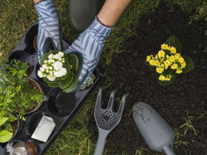 dice-estudio-que-la-jardineria-tiene-beneficios-la-salud-696x522 (1)