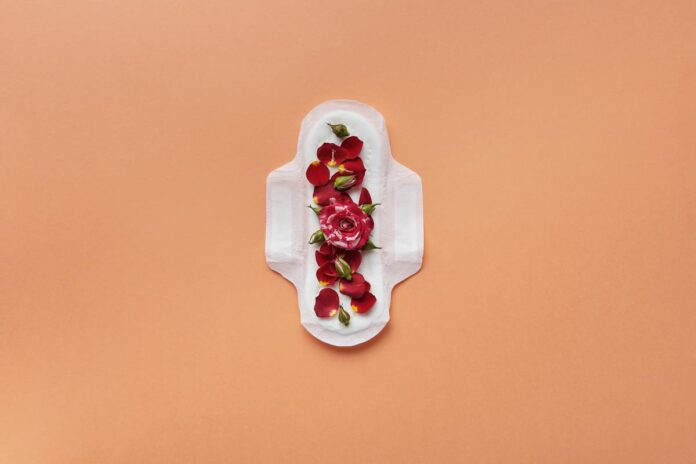 vivir-menstruacion-digna-derecho-humano